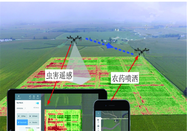 圖 5 遙感+決策和執(zhí)行技術(shù)(“察打一體”)：蟲害區(qū)域識(shí)別與精準(zhǔn)農(nóng)藥噴灑