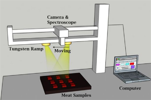 高光譜成像儀在牛肉分類中的應(yīng)用2