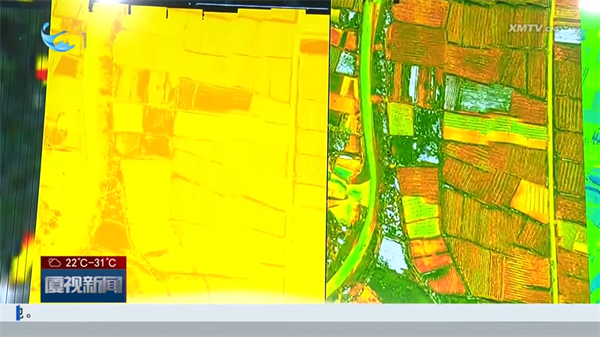 廈門：AI+高光譜 繪就農(nóng)業(yè)新畫(huà)卷4