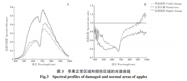 基于高光譜成像的蘋果損傷檢測(cè)方法3