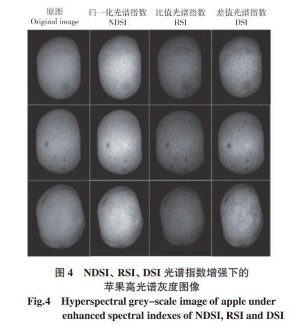 基于高光譜成像的蘋果損傷檢測(cè)方法4