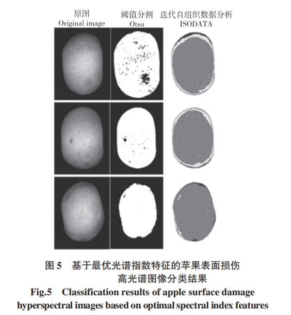 基于高光譜成像的蘋果損傷檢測(cè)方法5