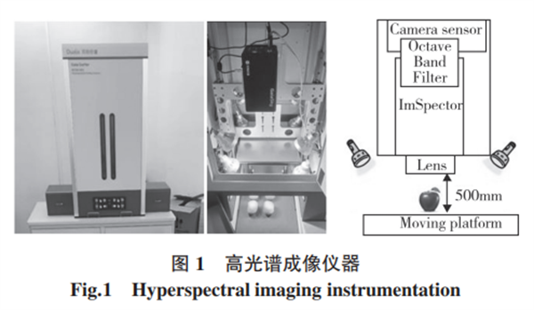 基于高光譜成像的蘋果損傷檢測(cè)方法