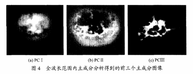 高光譜成像技術(shù)檢測(cè)柑橘果銹4